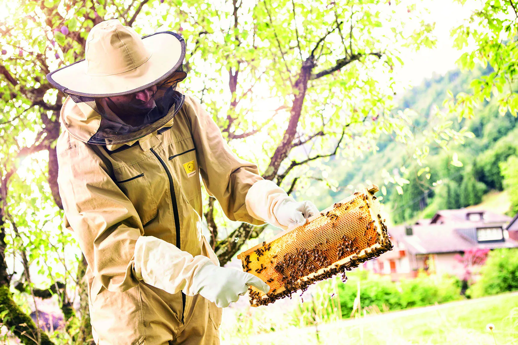 Dr. Felix Schier hält eine Bienenwabe in der Natur in die Höhe und zeigt darauf